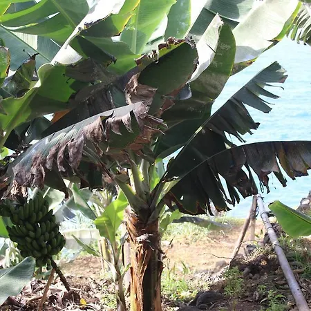 Casa Paradis *