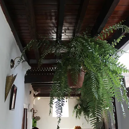 Casa Paradis * San Juan de la Rambla